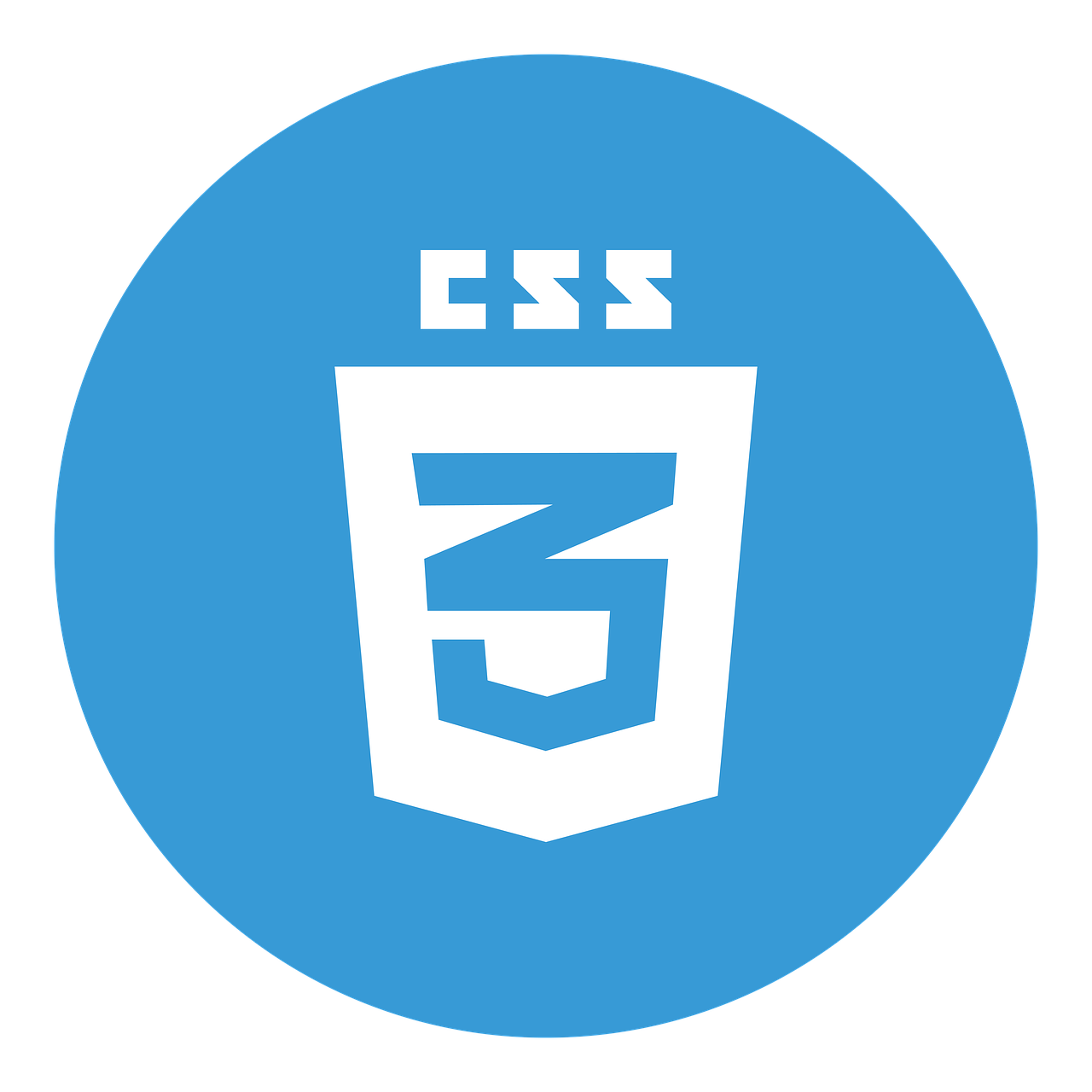 CSS_LOGO